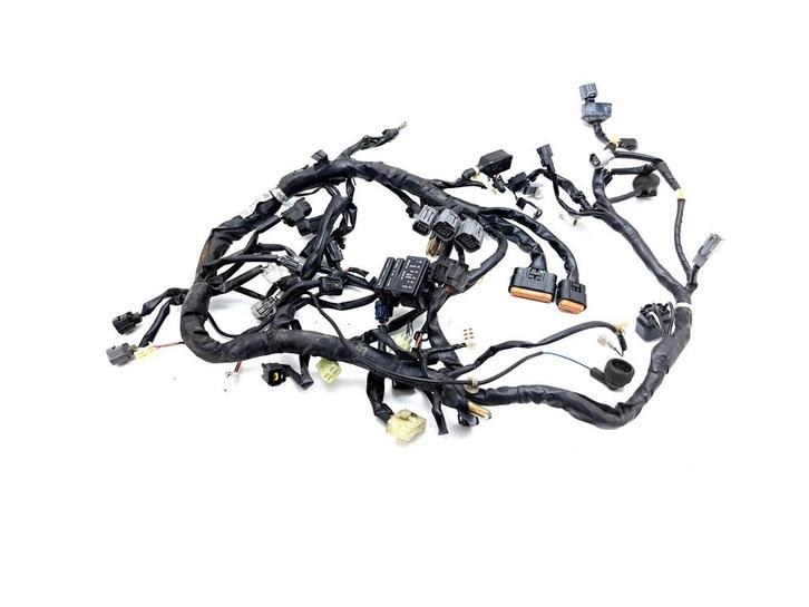 Kabelboom Kawasaki KLE 300 Versys X 2017-2020 (KLE300B-C), Motoren, Onderdelen | Kawasaki, Gebruikt, Verzenden