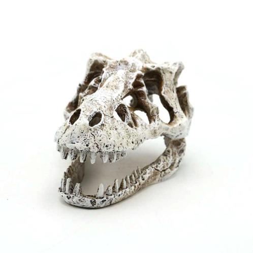 Prehistorische dino schedel OS-282 - aquarium decoratie, Dieren en Toebehoren, Vissen | Aquaria en Toebehoren, Sierelement, Nieuw