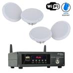 Outdoor Inbouwset Met WiFi Internet Radio En 4, Audio, Tv en Foto, Luidsprekers, Verzenden, Nieuw, Overige typen, Overige merken