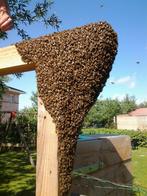 Emmer bloemenhoning Moldavie Tophoning, Ophalen of Verzenden