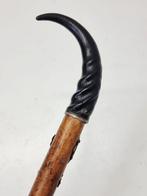 Wandelstok - Hout, Hoorn