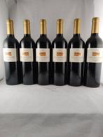 2001 Bodegas Luis Marín Diez, Vina Asomante - Rioja Gran, Nieuw