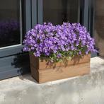 Plantenbak Geïmpregneerd Grenen 40 x 19 cm, Tuin en Terras, Bloembakken en Plantenbakken, Verzenden, Nieuw, Rechthoekig, Tuin