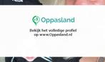 Valerie zoekt een oppas in Dieren voor 2 kinderen.