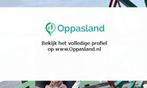 Kim zoekt een oppas in Haarlem voor 2 kinderen op maandag...