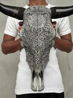 GEEN MINIMUMBOD - Prachtige grote schedel van een grijze