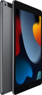 Apple iPad (2021) Wi-Fi + Cellular 256GB Grijs, Verzenden, Zo goed als nieuw