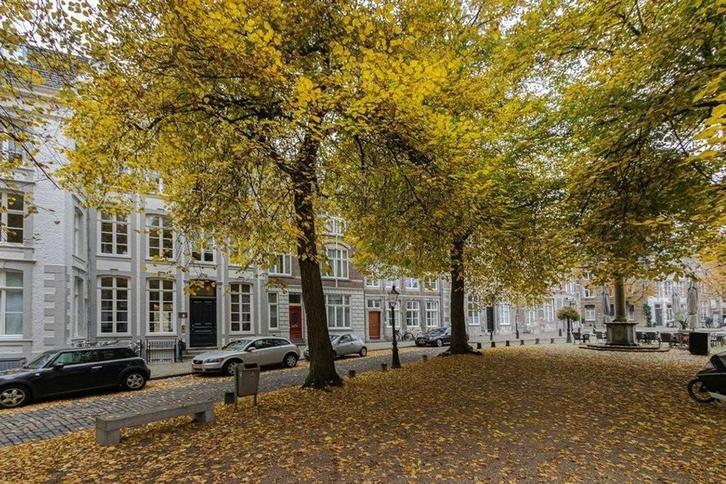 Appartement te huur aan Grote Looiersstraat in Maastricht, Huizen en Kamers, Huizen te huur, Limburg