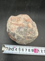 Dinosaurus - Fossiele matrix - Hadrosaurus or, Verzamelen, Mineralen en Fossielen