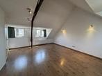 Studio Sionsweg in Maastricht, Overige soorten, Limburg