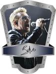 Muziek schilden - Rock bands en Frontman