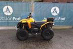 Veiling: Quad MB CAN-AM ATV 2007 (Marge)