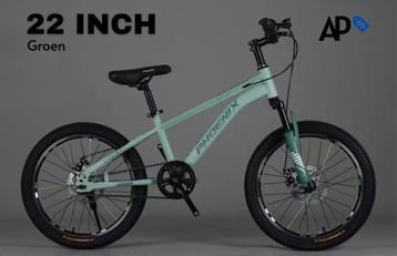 Phoenix Mountain Bike - 22 Inch Fiets (Nieuw in doos) beschikbaar voor biedingen