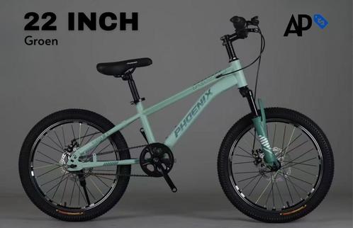 Phoenix Mountain Bike - 22 Inch Fiets (Nieuw in doos), Fietsen en Brommers, Fietsen | Mountainbikes en ATB, Hardtail, Heren, 45 tot 49 cm
