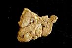Goud Natif, goudklomp uit Suriname of Frans-Guyana- 1.05 g -, Nieuw