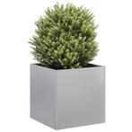 vidaXL Plantenbak 40x40x40 cm gegalvaniseerd staal, Tuin en Terras, Bloembakken en Plantenbakken, Verzenden, Nieuw, Metaal