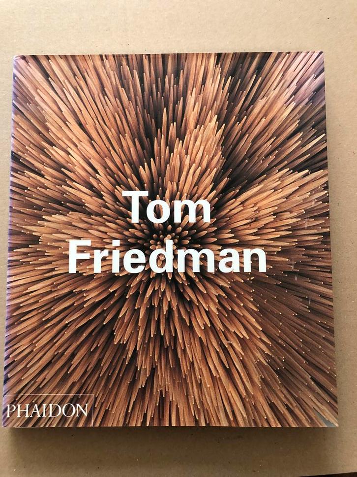 Monografie Tom Friedman - Conceptuele Kunst + Sculpturen, Boeken, Kunst en Cultuur | Beeldend, Gelezen, Beeldhouwkunst, Ophalen of Verzenden
