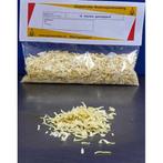 Gesnipperde Ui - Globetrotter