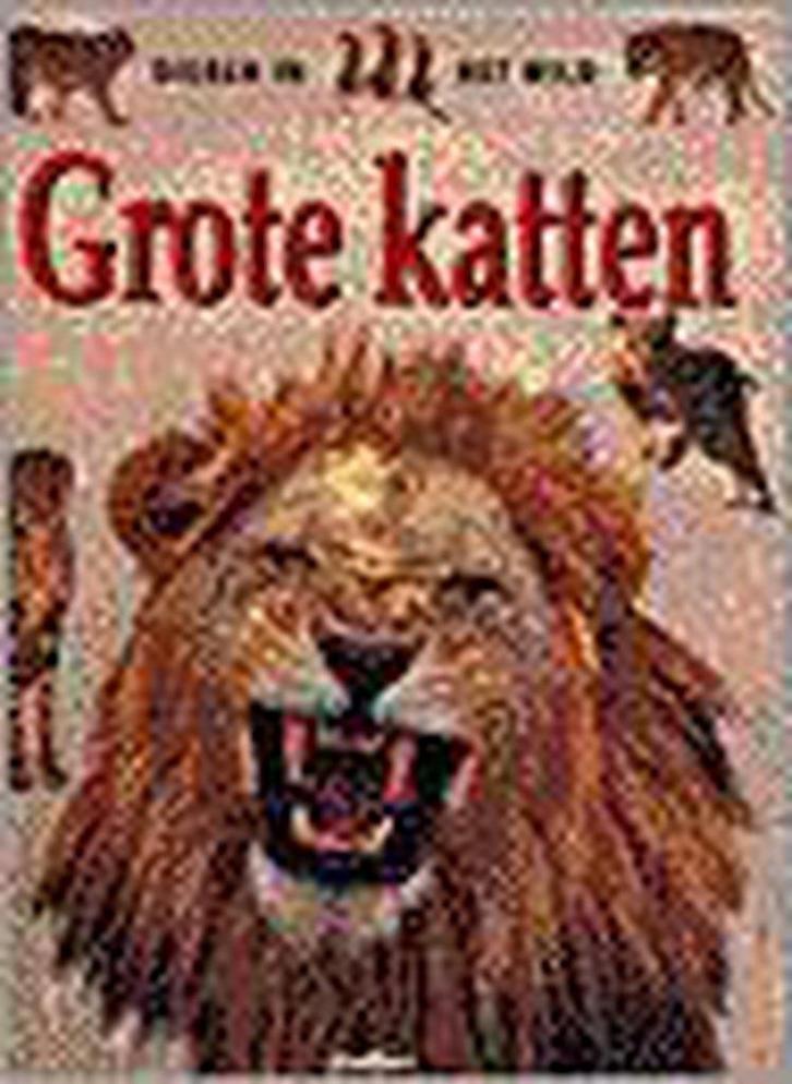 Grote Katten / Dieren in het wild 9789054260189 R. Klevansky, Boeken, Overige Boeken, Zo goed als nieuw, Verzenden
