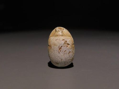 Oud-Egyptisch Speksteen Scharab. Hyksosperiode, 1782 - 1570, Verzamelen, Mineralen en Fossielen