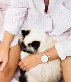Cluse Boho Chic Mesh White, Rose Gold Colour, Huis en Inrichting, Woonaccessoires | Overige, Verzenden, Nieuw