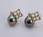 10x11mm Peacock Tahitian Pearl Drops - 0.02 - Oorbellen - 14