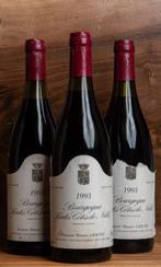 1993 Domaine Maurice Gavignet, - Bourgogne Hautes-Côtes de, Nieuw