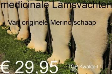 Medicinale MERINO Lamsvacht KORT GESCHOREN € 29,95 beschikbaar voor biedingen