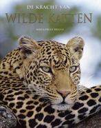 De kracht van wilde katten 9781405489010 Mike Briggs, Boeken, Verzenden, Zo goed als nieuw, Mike Briggs
