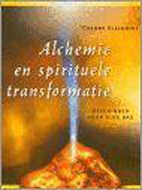 Alchemie en spirituele transformatie 9789020283303, Boeken, Esoterie en Spiritualiteit, Gelezen, Verzenden