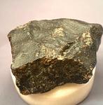 Chondriet Chondrite meteoriet - 195 g - (1), Verzamelen, Mineralen en Fossielen
