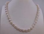 Halsketting - 14 karaat Witgoud, ALGT Gecertificeerde Akoya, Nieuw