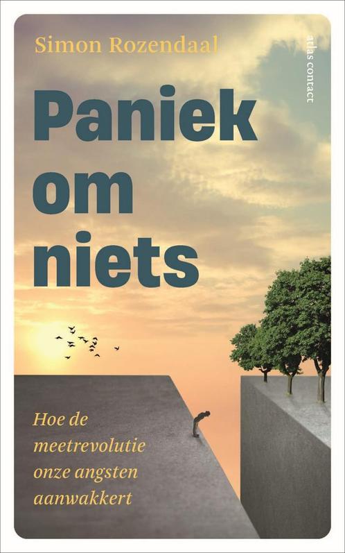 Paniek om niets 9789045051406 Simon Rozendaal, Boeken, Politiek en Maatschappij, Gelezen, Verzenden