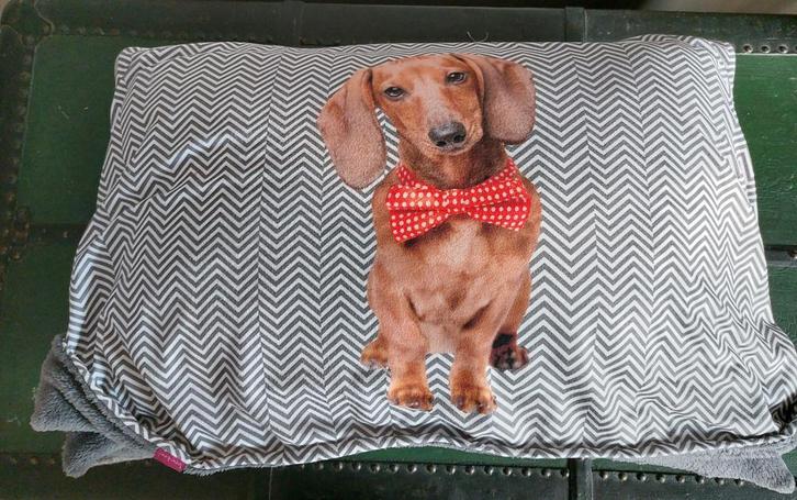 MEGA UITVERKOOP! EXTRA KORTING! Hondenaccessoires, Dieren en Toebehoren, Honden-accessoires, Nieuw, Ophalen of Verzenden