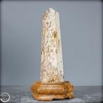 Extreem zeldzaam natuurlijk geagatiseerd koraal Obelisk op, Verzamelen, Mineralen en Fossielen