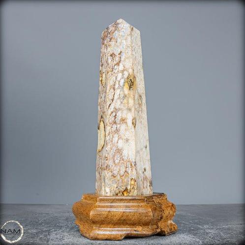Extreem zeldzaam natuurlijk geagatiseerd koraal Obelisk op, Verzamelen, Mineralen en Fossielen