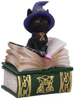 Nemesis Now Gothic Giftware Collection-Binx (Diversen) NIEUW, Verzamelen, Ophalen of Verzenden, Nieuw