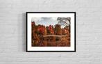 Fabian Kimmel - Fall in Central Park III - New York - Series