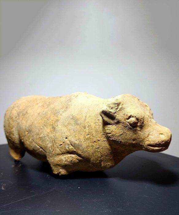 Oud Chinees, Tang-dynastie Tang-dynastie - Keramische Koe, Antiek en Kunst, Antiek | Overige Antiek