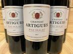 2017 Chateau Artigues - Pauillac - 12 Flessen (0.75 liter), Nieuw