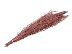 Palak stick 100 gr 65-75cm pink droogbloemen zurigachtige, Ophalen of Verzenden, Nieuw