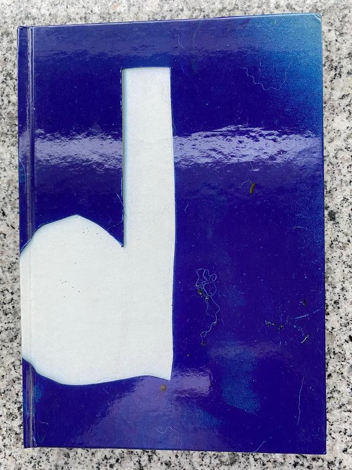 Blauwe diesel – Van aalmoezenier tot zaaddonor, Boeken, Kunst en Cultuur | Beeldend, Gelezen, Schilder- en Tekenkunst, Verzenden