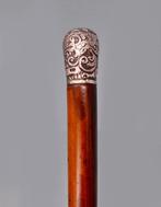 Wandelstok - Hout, Metaal