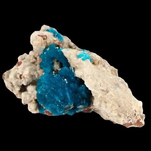 Absoluut onhaalbaar mineraal monstertje - Groot, Verzamelen, Dierenverzamelingen