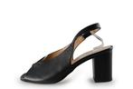 Notre-V Pumps in maat 41 Zwart | 10% korting, Kleding | Dames, Schoenen, Notre-V, Pumps, Verzenden, Zwart
