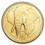 Gouden Big Five Elephant serie - 1 oz 2024, Postzegels en Munten, Munten | Afrika, Goud, Zuid-Afrika, Losse munt, Verzenden