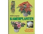 Kamerplanten - Kamerplanten, Ophalen of Verzenden, Nieuw