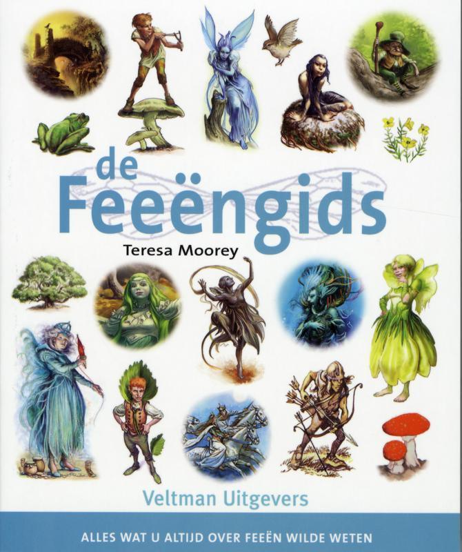 Esoterie gidsen De feeëngids / Esoterie gidsen 9789059207493, Boeken, Esoterie en Spiritualiteit, Gelezen, Verzenden