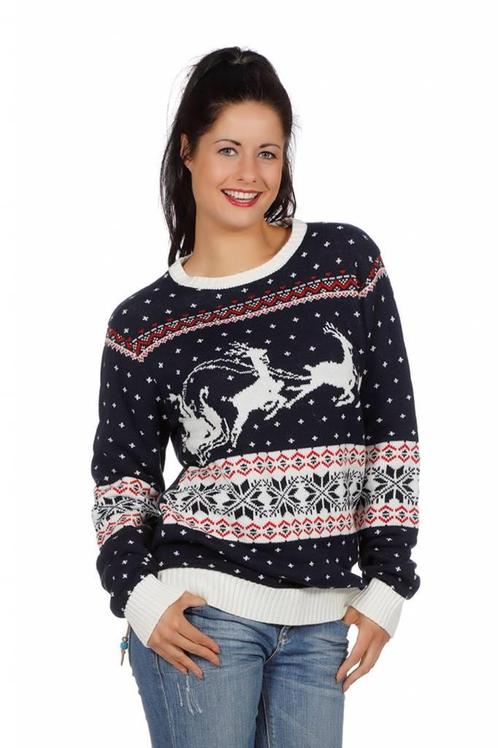 Kersttrui blauw met slee, Kleding | Dames, Carnavalskleding en Feestkleding, Nieuw, Ophalen of Verzenden