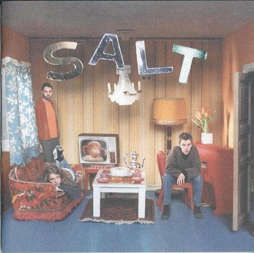 Salt  - Auscultate (CD, Album), Cd's en Dvd's, Cd's | Pop, Ophalen of Verzenden